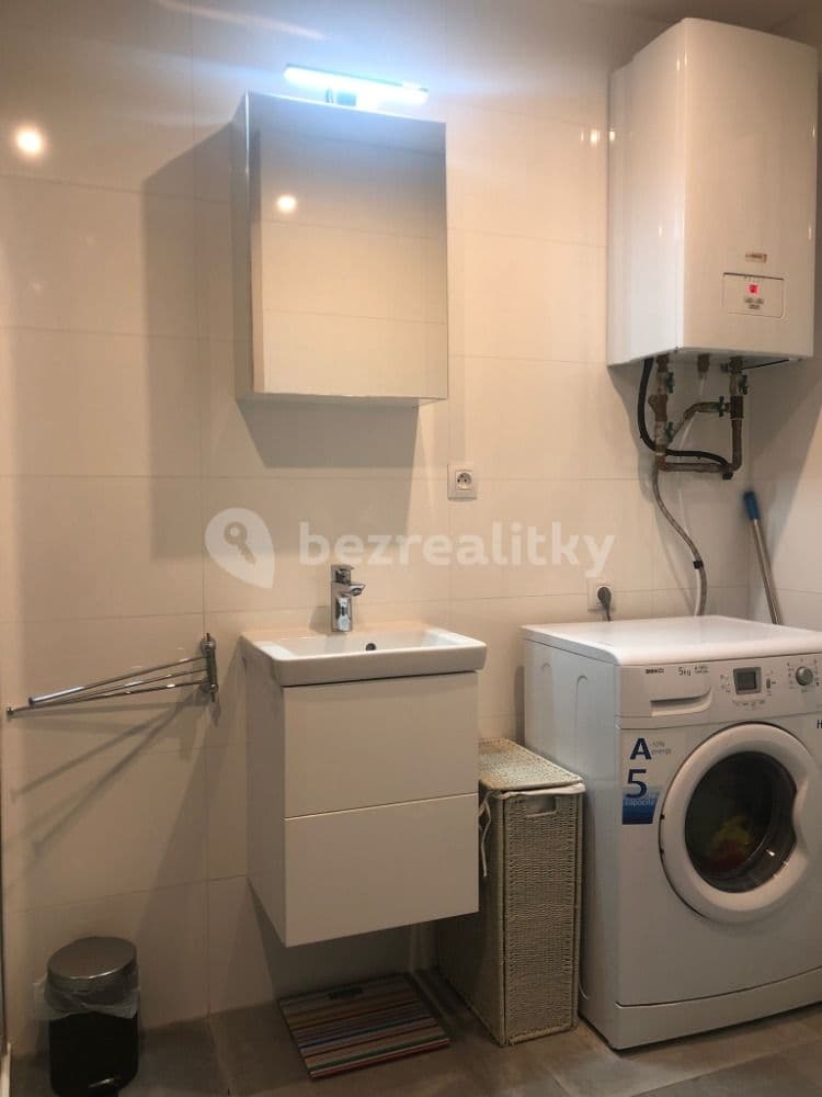 1 bedroom with open-plan kitchen flat to rent, 45 m², Lyčkovo náměstí, Prague, Prague 1 bedroom with open-plan kitchen flat to rent, 45 m², Lyčkovo náměstí, Prague, Prague