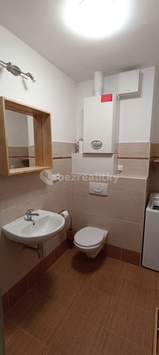1 bedroom with open-plan kitchen flat to rent, 41 m², Pod Zahrady, Přezletice, Středočeský Region 1 bedroom with open-plan kitchen flat to rent, 41 m², Pod Zahrady, Přezletice, Středočeský Region