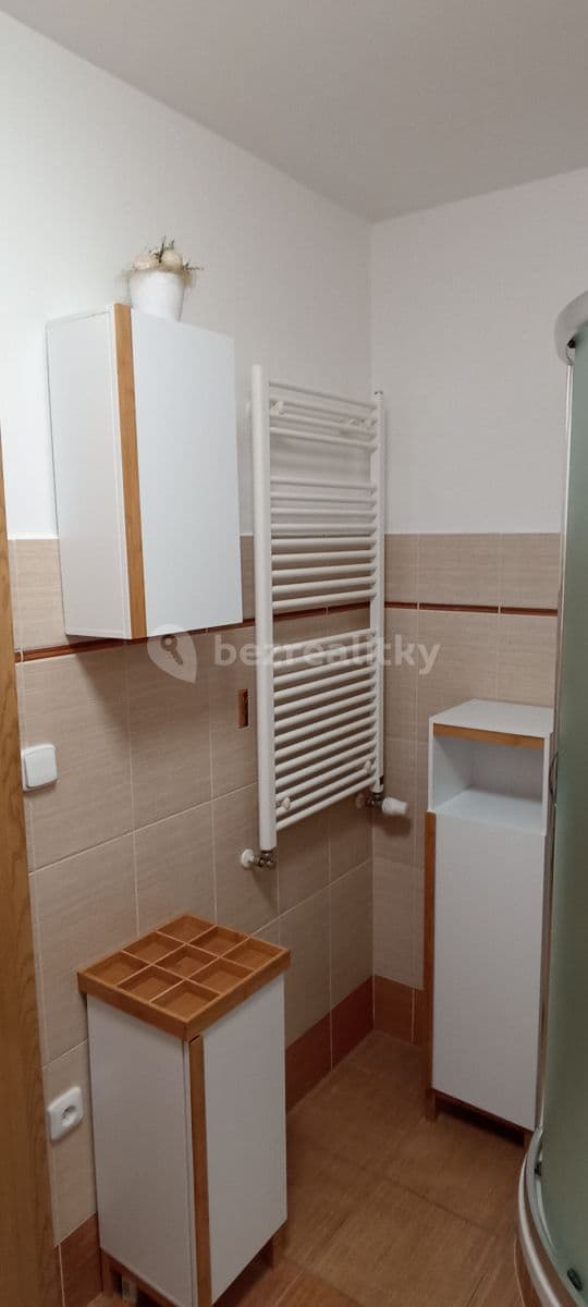 1 bedroom with open-plan kitchen flat to rent, 41 m², Pod Zahrady, Přezletice, Středočeský Region 1 bedroom with open-plan kitchen flat to rent, 41 m², Pod Zahrady, Přezletice, Středočeský Region