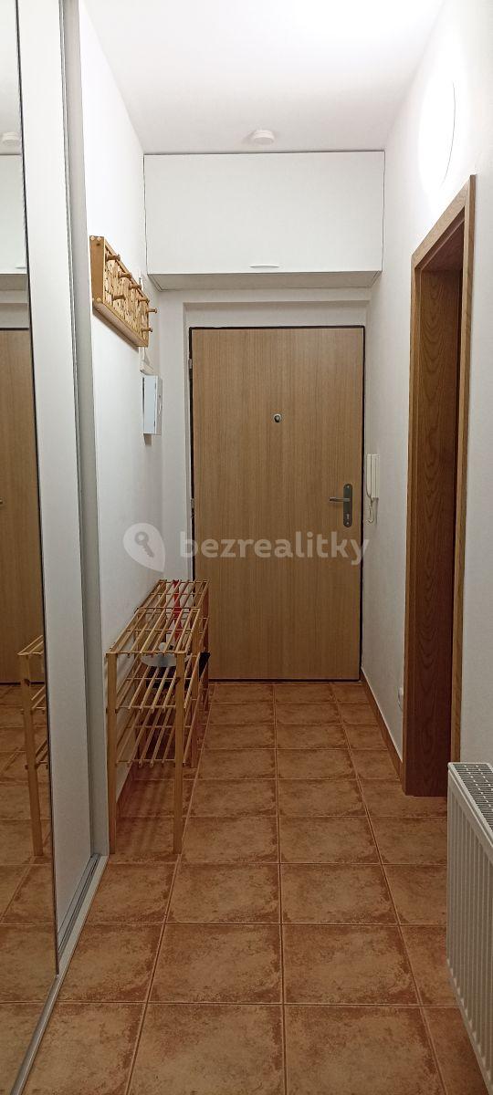 1 bedroom with open-plan kitchen flat to rent, 41 m², Pod Zahrady, Přezletice, Středočeský Region