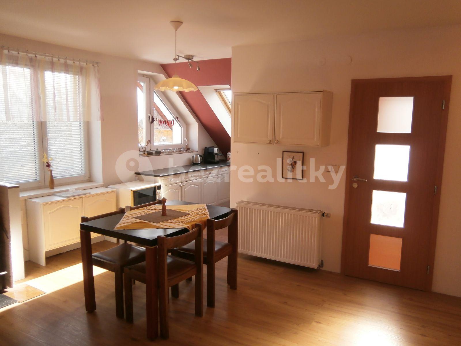 3 bedroom with open-plan kitchen flat to rent, 88 m², Dřínov, Středočeský Region