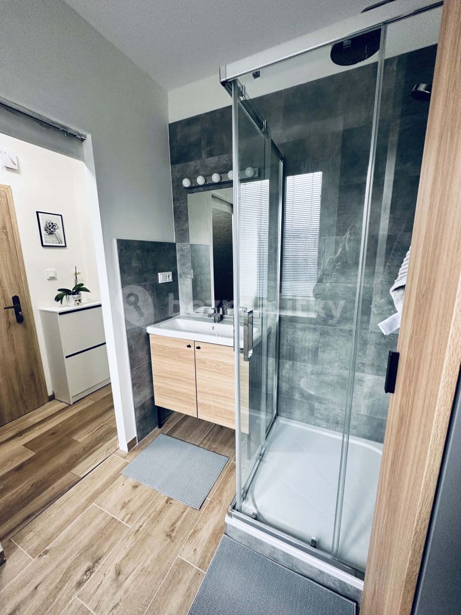 Small studio flat to rent, 22 m², K Roztokům, Prague, Prague Small studio flat to rent, 22 m², K Roztokům, Prague, Prague