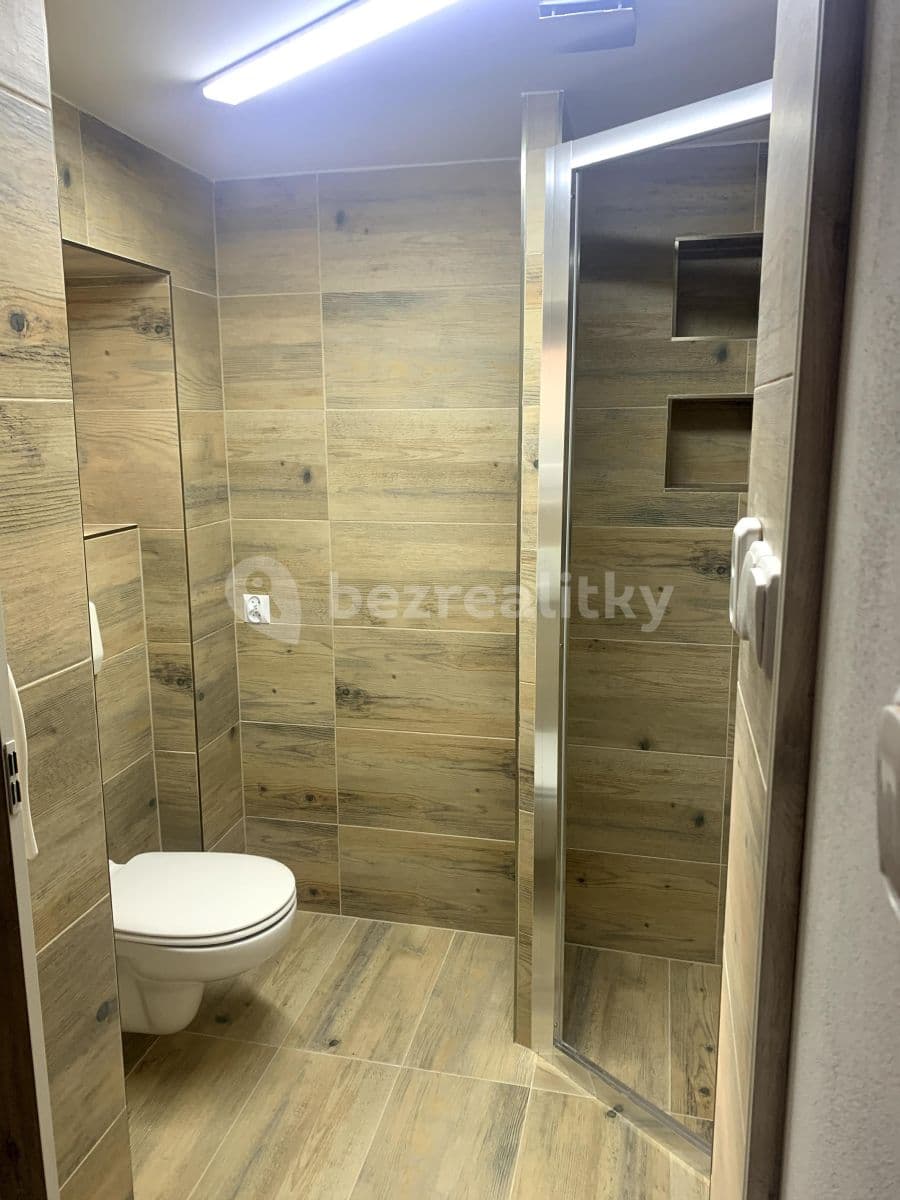 Small studio flat to rent, 25 m², Orlí, Liberec, Liberecký Region Small studio flat to rent, 25 m², Orlí, Liberec, Liberecký Region