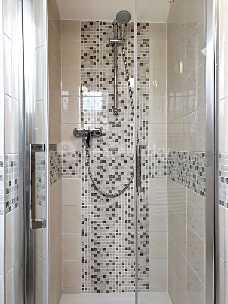 1 bedroom with open-plan kitchen flat to rent, 68 m², Veveří, Brno, Jihomoravský Region 1 bedroom with open-plan kitchen flat to rent, 68 m², Veveří, Brno, Jihomoravský Region