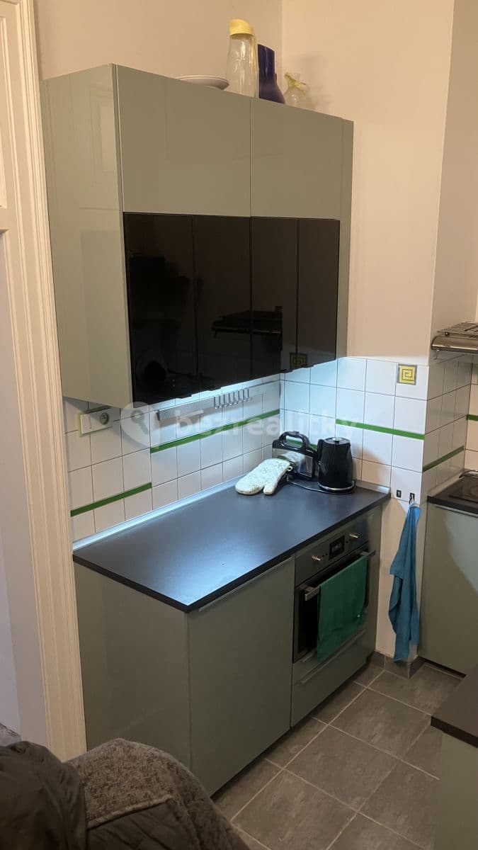 1 bedroom with open-plan kitchen flat to rent, 45 m², Thámova, Prague, Prague 1 bedroom with open-plan kitchen flat to rent, 45 m², Thámova, Prague, Prague