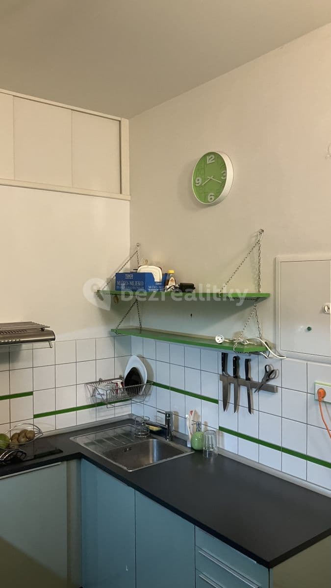 1 bedroom with open-plan kitchen flat to rent, 45 m², Thámova, Prague, Prague 1 bedroom with open-plan kitchen flat to rent, 45 m², Thámova, Prague, Prague