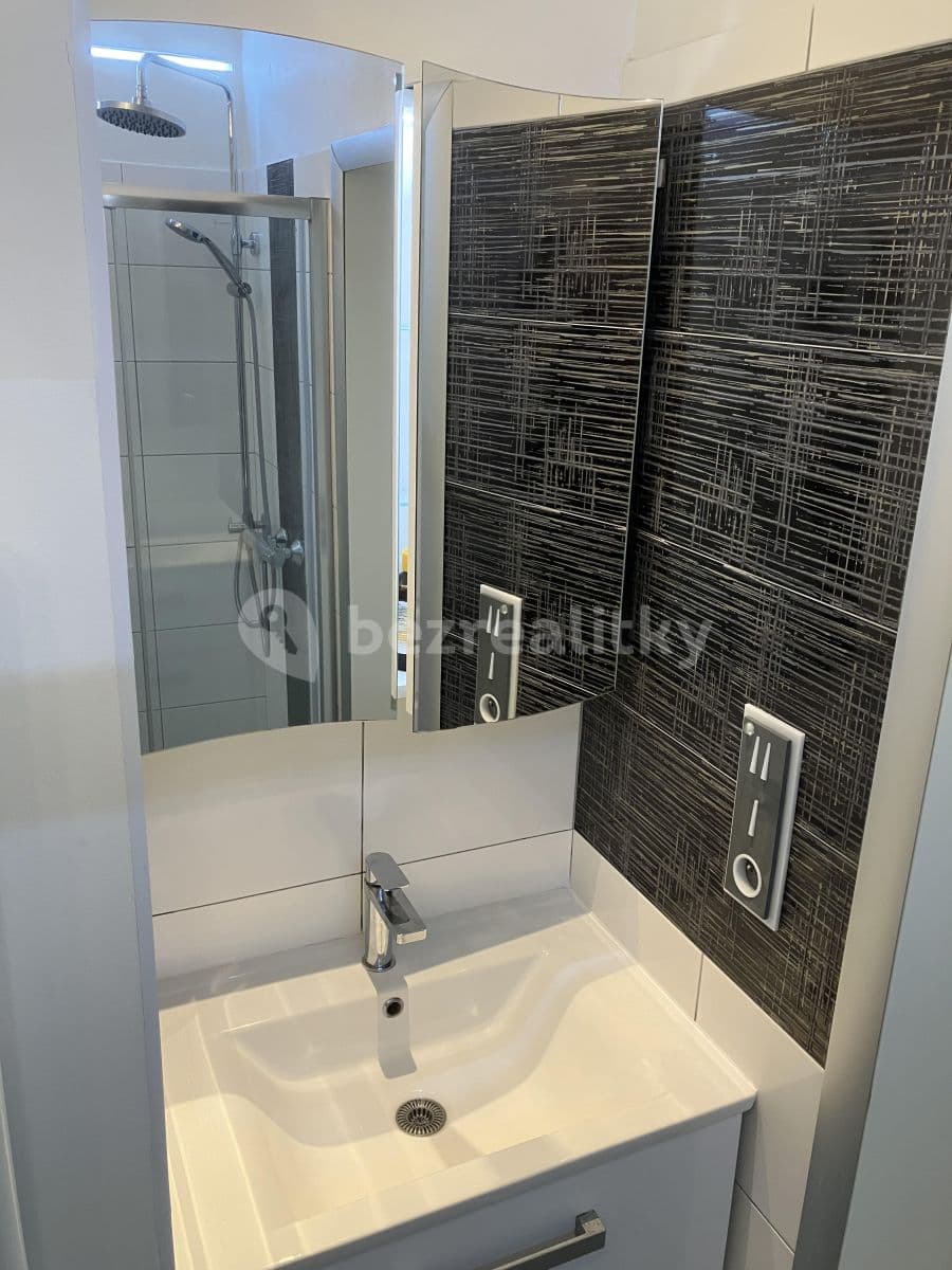 1 bedroom with open-plan kitchen flat to rent, 45 m², Thámova, Prague, Prague 1 bedroom with open-plan kitchen flat to rent, 45 m², Thámova, Prague, Prague