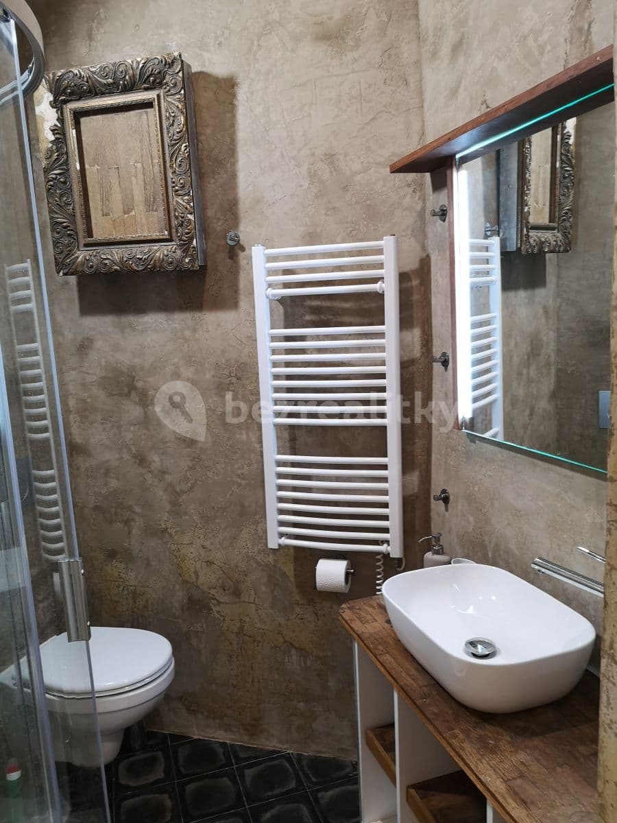 2 bedroom with open-plan kitchen flat to rent, 41 m², Blodkova, Prague, Prague 2 bedroom with open-plan kitchen flat to rent, 41 m², Blodkova, Prague, Prague