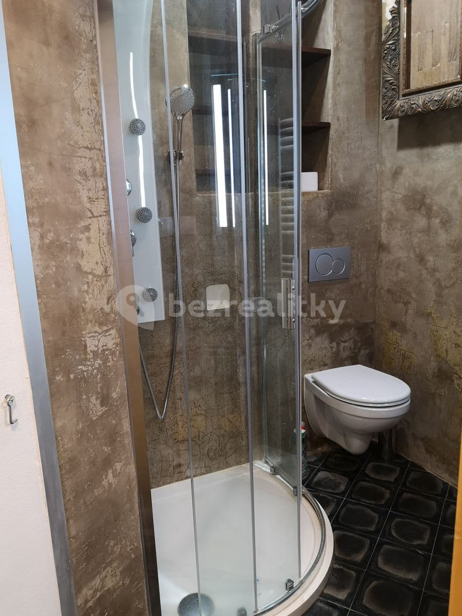 2 bedroom with open-plan kitchen flat to rent, 41 m², Blodkova, Prague, Prague 2 bedroom with open-plan kitchen flat to rent, 41 m², Blodkova, Prague, Prague