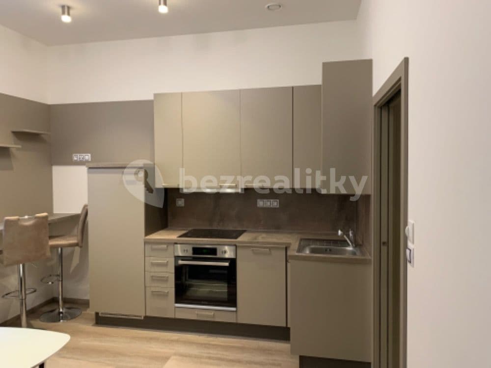1 bedroom with open-plan kitchen flat to rent, 38 m², U Santošky, Prague, Prague 1 bedroom with open-plan kitchen flat to rent, 38 m², U Santošky, Prague, Prague