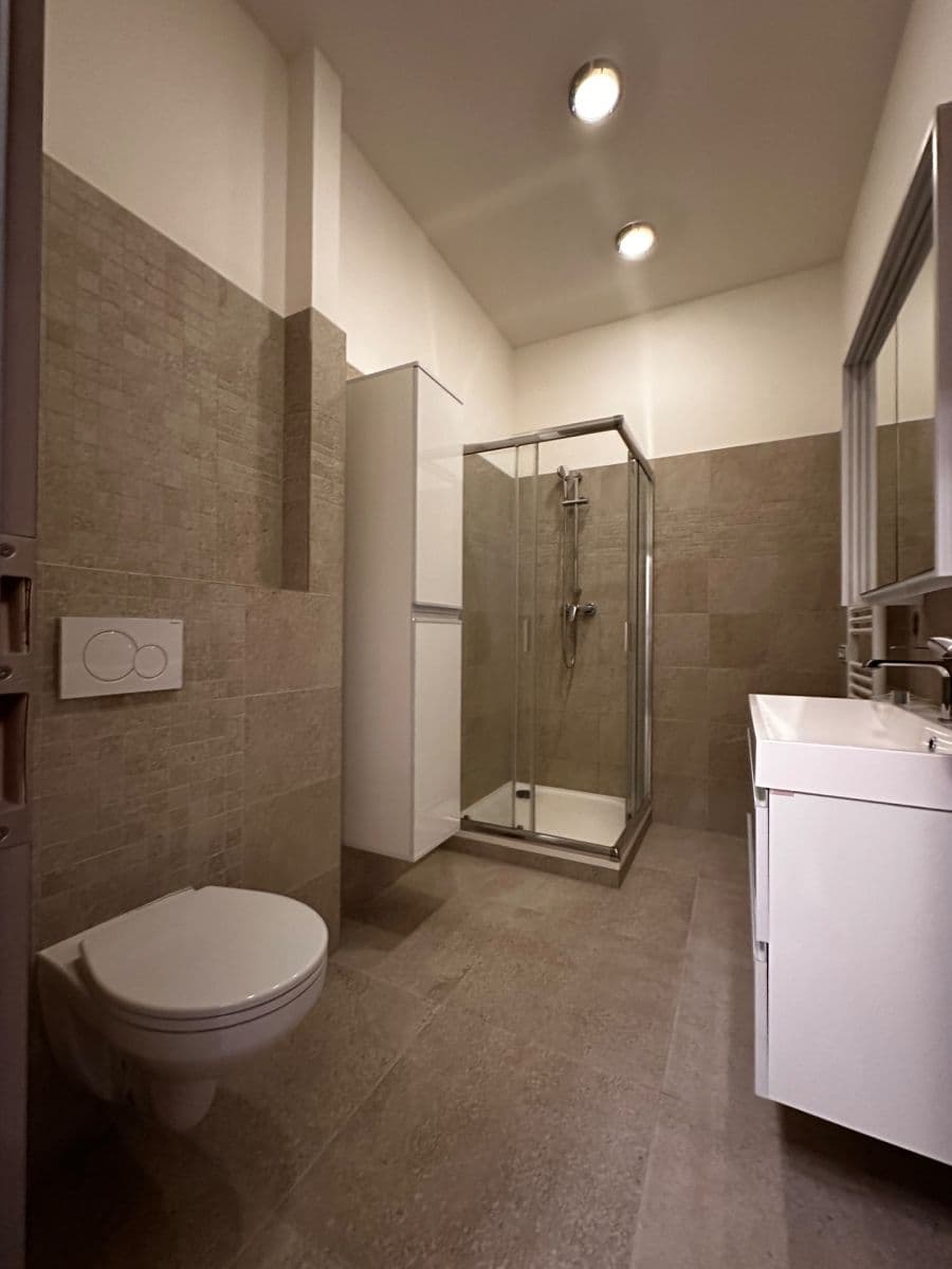 1 bedroom with open-plan kitchen flat to rent, 38 m², U Santošky, Prague, Prague 1 bedroom with open-plan kitchen flat to rent, 38 m², U Santošky, Prague, Prague