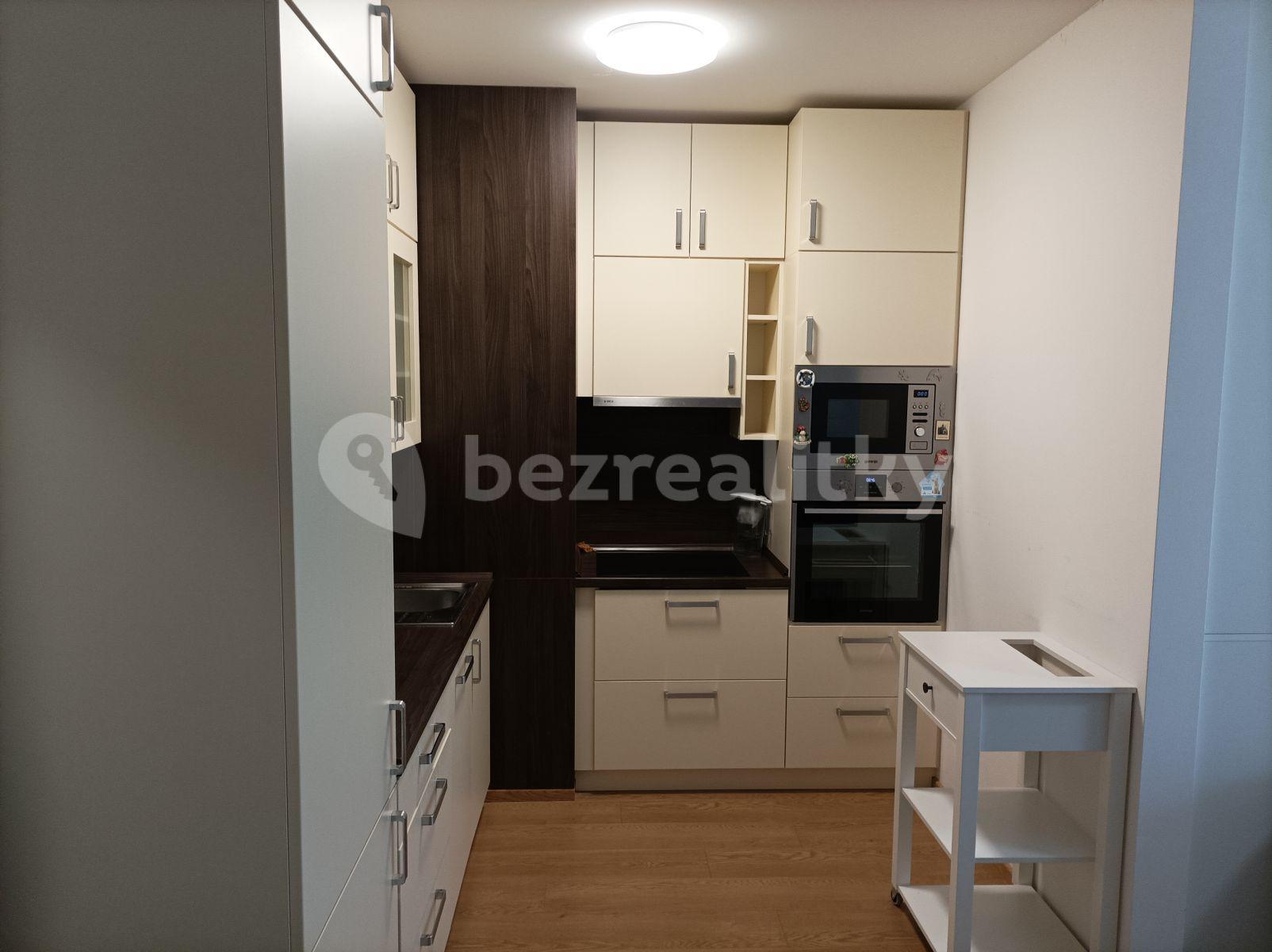 1 bedroom with open-plan kitchen flat to rent, 49 m², Makedonská, Prague, Prague