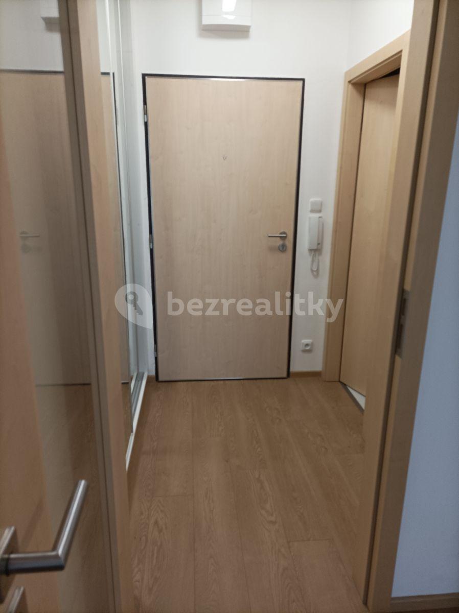 1 bedroom with open-plan kitchen flat to rent, 49 m², Makedonská, Prague, Prague