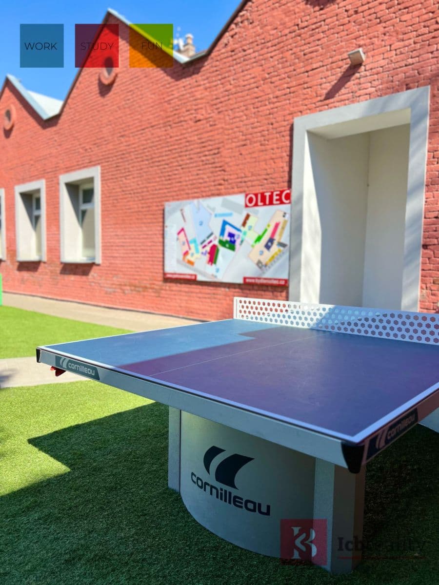 Studio flat to rent, 23 m², Václavská, Brno, Jihomoravský Region Studio flat to rent, 23 m², Václavská, Brno, Jihomoravský Region