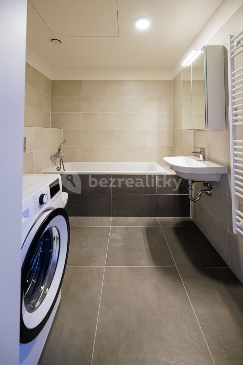 1 bedroom with open-plan kitchen flat to rent, 65 m², Prague, Prague 1 bedroom with open-plan kitchen flat to rent, 65 m², Prague, Prague