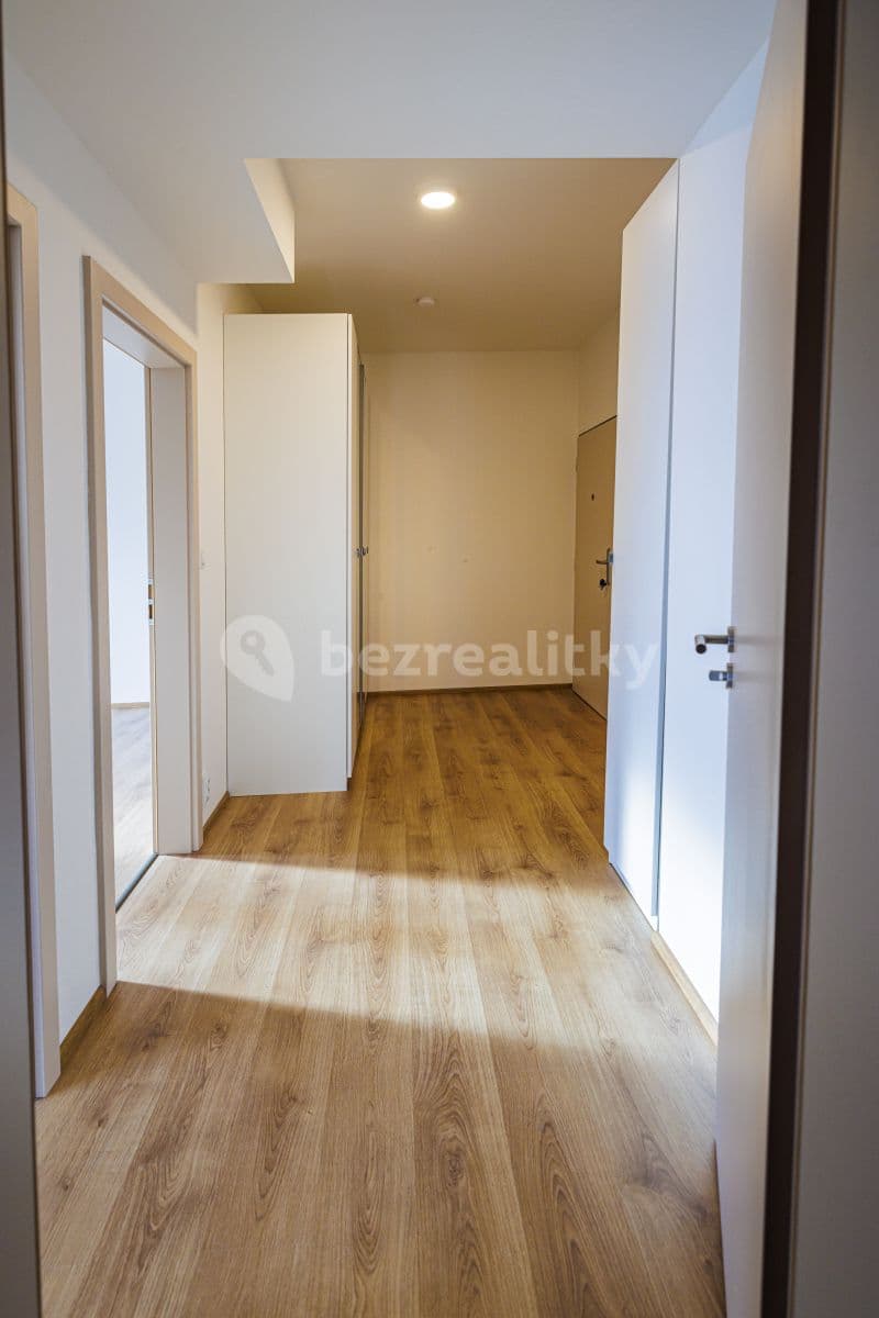 1 bedroom with open-plan kitchen flat to rent, 65 m², Prague, Prague 1 bedroom with open-plan kitchen flat to rent, 65 m², Prague, Prague