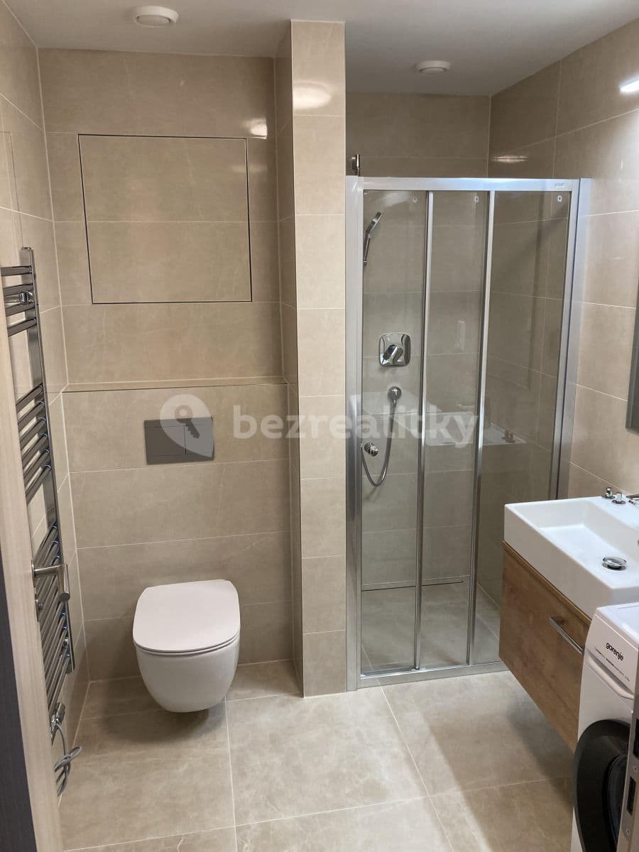 1 bedroom with open-plan kitchen flat to rent, 48 m², Kurandové, Prague, Prague 1 bedroom with open-plan kitchen flat to rent, 48 m², Kurandové, Prague, Prague