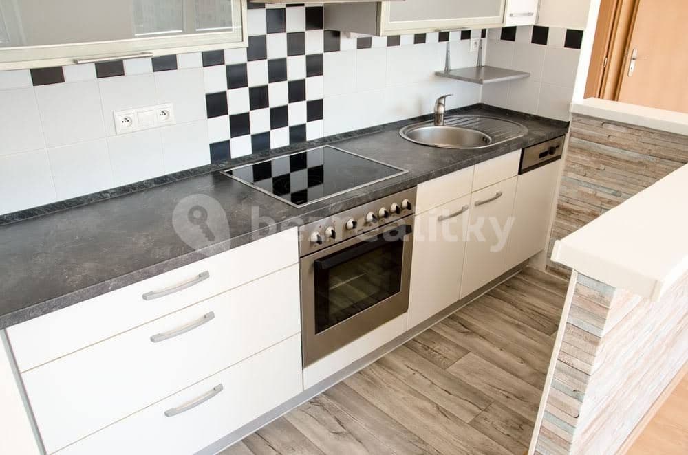 1 bedroom with open-plan kitchen flat to rent, 60 m², Místecká, Prague, Prague 1 bedroom with open-plan kitchen flat to rent, 60 m², Místecká, Prague, Prague