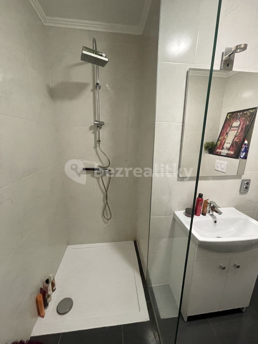 1 bedroom with open-plan kitchen flat to rent, 50 m², Andrštova, Prague, Prague 1 bedroom with open-plan kitchen flat to rent, 50 m², Andrštova, Prague, Prague