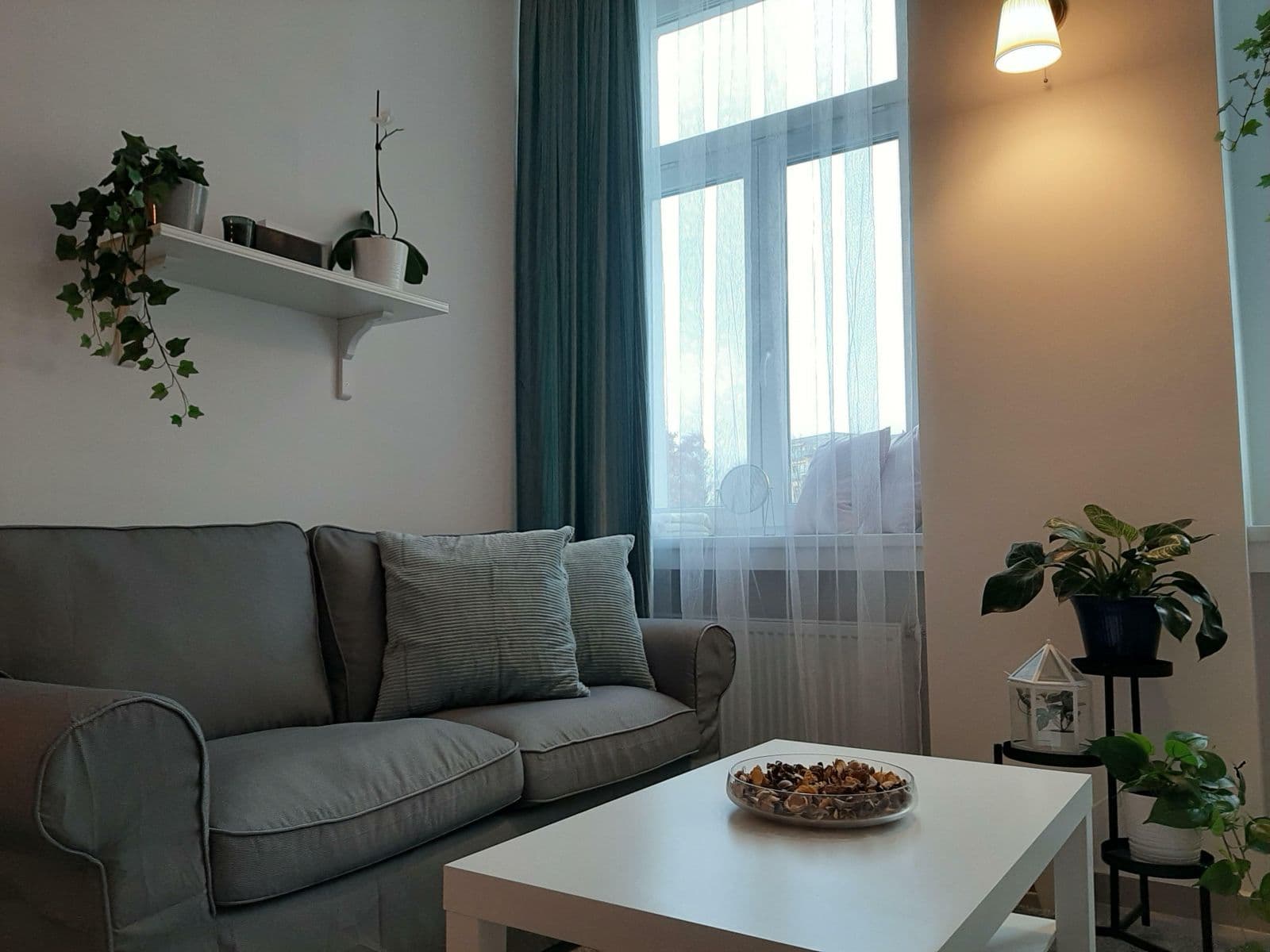 1 bedroom with open-plan kitchen flat to rent, 48 m², Nuselská, Prague, Prague 1 bedroom with open-plan kitchen flat to rent, 48 m², Nuselská, Prague, Prague