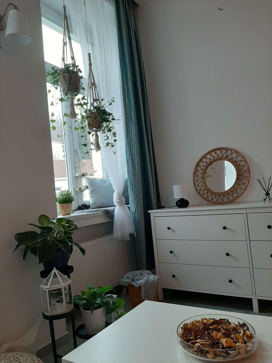 1 bedroom with open-plan kitchen flat to rent, 48 m², Nuselská, Prague, Prague 1 bedroom with open-plan kitchen flat to rent, 48 m², Nuselská, Prague, Prague