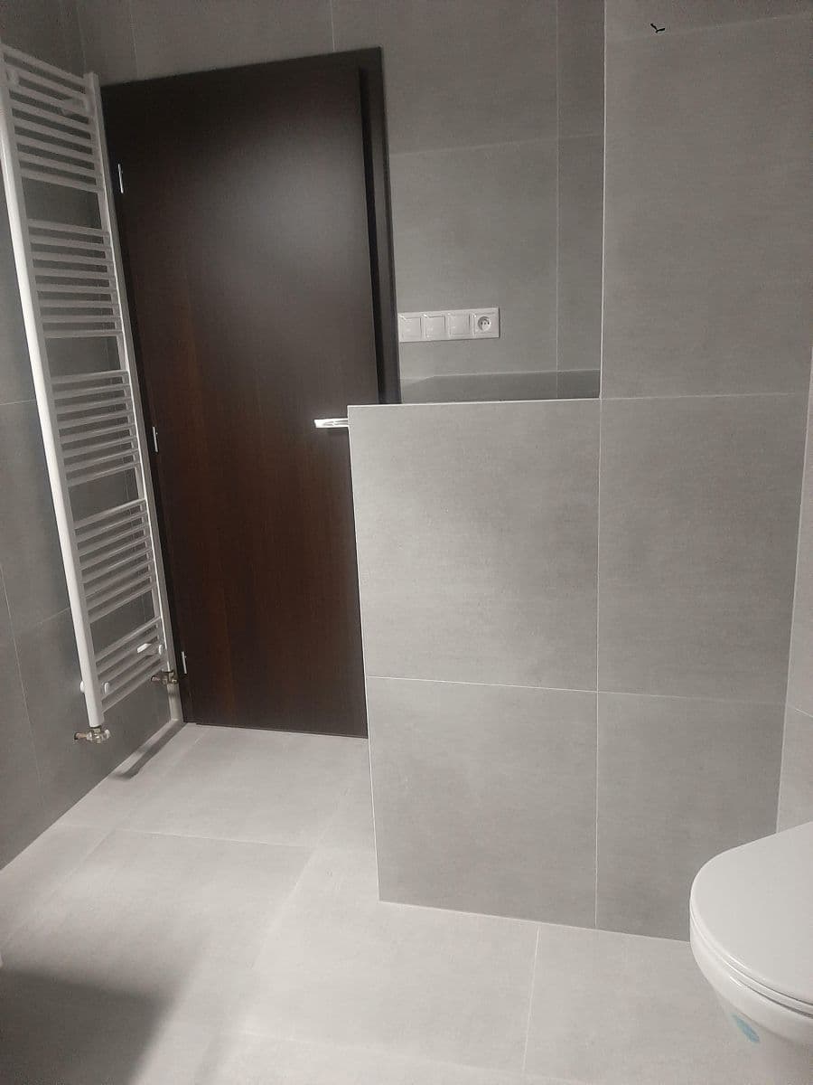 1 bedroom with open-plan kitchen flat to rent, 48 m², Nuselská, Prague, Prague 1 bedroom with open-plan kitchen flat to rent, 48 m², Nuselská, Prague, Prague