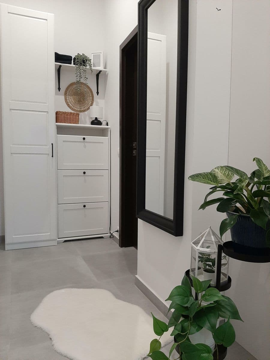 1 bedroom with open-plan kitchen flat to rent, 48 m², Nuselská, Prague, Prague 1 bedroom with open-plan kitchen flat to rent, 48 m², Nuselská, Prague, Prague