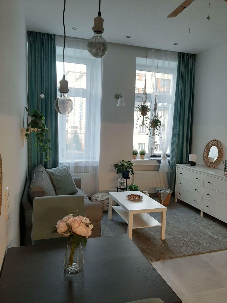 1 bedroom with open-plan kitchen flat to rent, 48 m², Nuselská, Prague, Prague 1 bedroom with open-plan kitchen flat to rent, 48 m², Nuselská, Prague, Prague