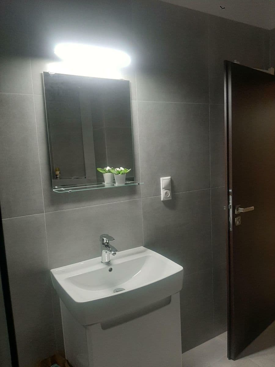 1 bedroom with open-plan kitchen flat to rent, 48 m², Nuselská, Prague, Prague 1 bedroom with open-plan kitchen flat to rent, 48 m², Nuselská, Prague, Prague