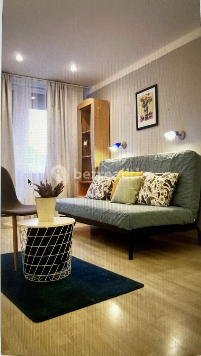 2 bedroom with open-plan kitchen flat to rent, 115 m², Běhounkova, Prague, Prague 2 bedroom with open-plan kitchen flat to rent, 115 m², Běhounkova, Prague, Prague