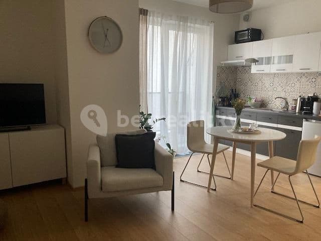 Studio flat to rent, 37 m², Mezilehlá, Prague, Prague Studio flat to rent, 37 m², Mezilehlá, Prague, Prague