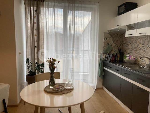 Studio flat to rent, 37 m², Mezilehlá, Prague, Prague Studio flat to rent, 37 m², Mezilehlá, Prague, Prague