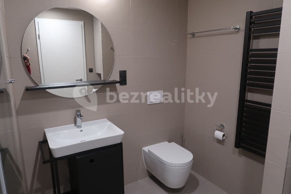 1 bedroom with open-plan kitchen flat to rent, 58 m², Prague, Prague 1 bedroom with open-plan kitchen flat to rent, 58 m², Prague, Prague