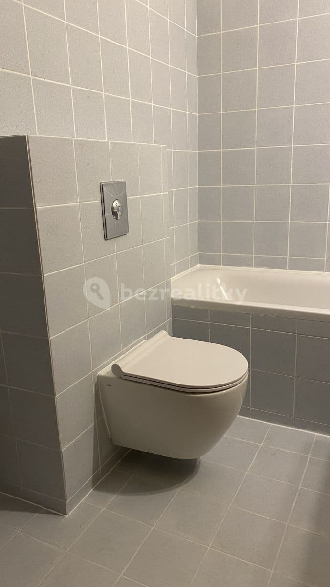 1 bedroom with open-plan kitchen flat to rent, 55 m², Litoměřická, Prague, Prague 1 bedroom with open-plan kitchen flat to rent, 55 m², Litoměřická, Prague, Prague