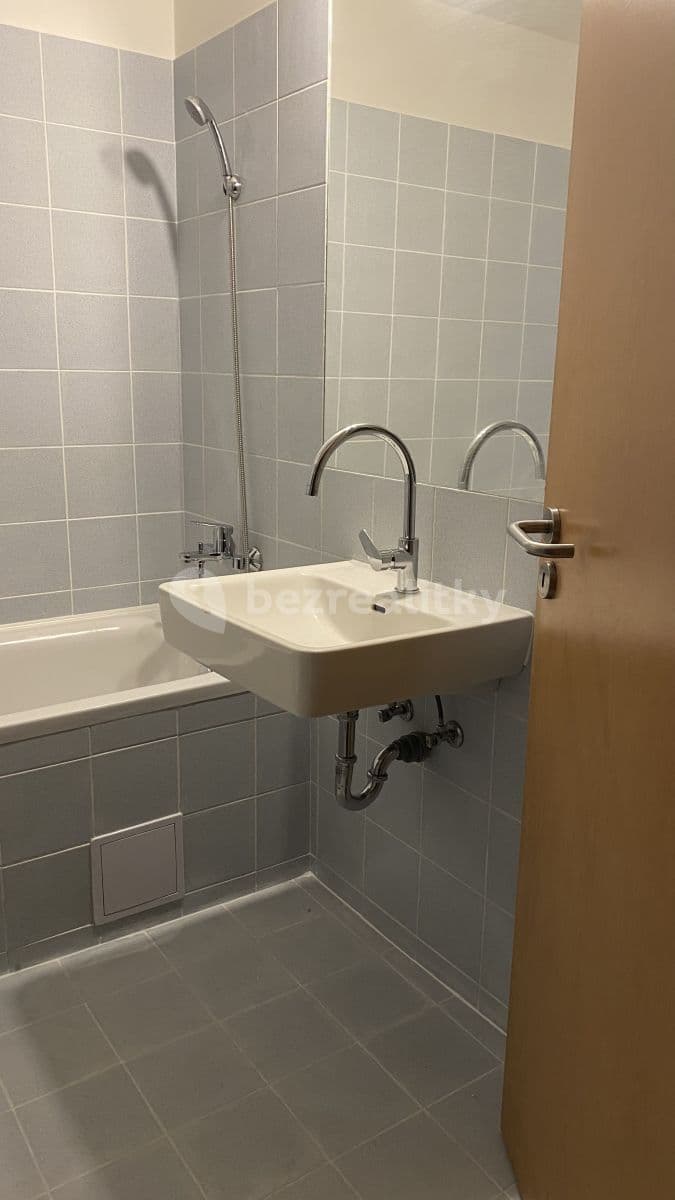 1 bedroom with open-plan kitchen flat to rent, 55 m², Litoměřická, Prague, Prague 1 bedroom with open-plan kitchen flat to rent, 55 m², Litoměřická, Prague, Prague