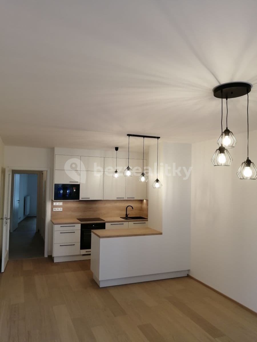 1 bedroom with open-plan kitchen flat to rent, 53 m², Olgy Havlové, Prague, Prague 1 bedroom with open-plan kitchen flat to rent, 53 m², Olgy Havlové, Prague, Prague