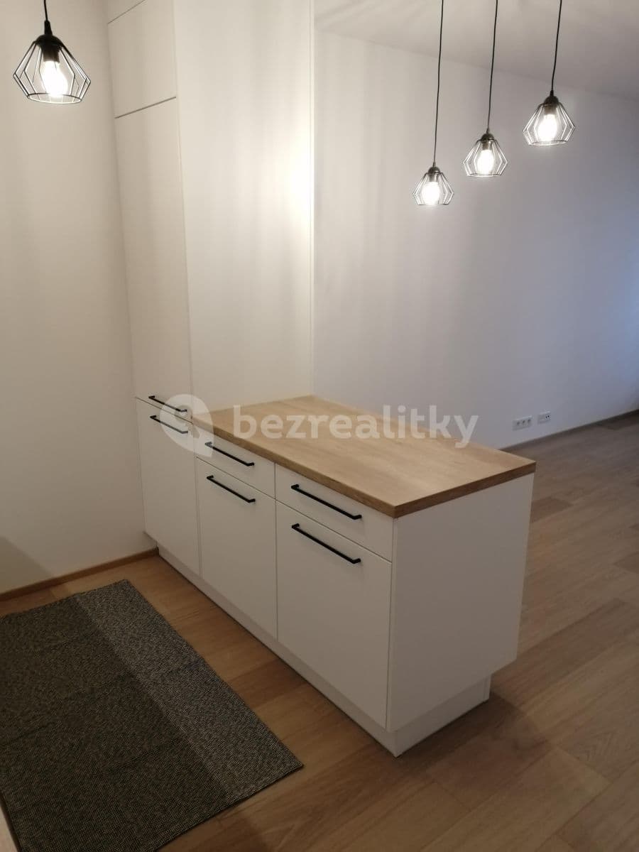 1 bedroom with open-plan kitchen flat to rent, 53 m², Olgy Havlové, Prague, Prague 1 bedroom with open-plan kitchen flat to rent, 53 m², Olgy Havlové, Prague, Prague