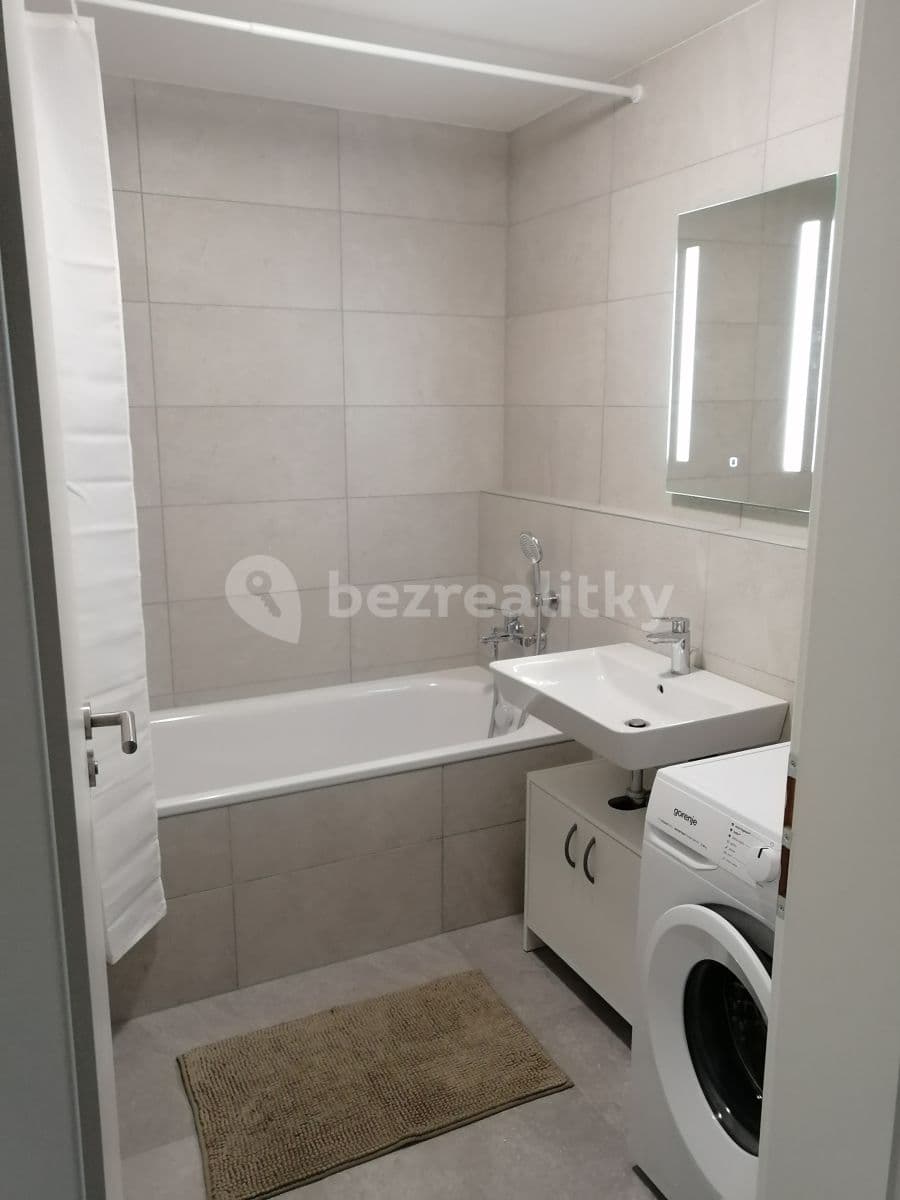 1 bedroom with open-plan kitchen flat to rent, 53 m², Olgy Havlové, Prague, Prague 1 bedroom with open-plan kitchen flat to rent, 53 m², Olgy Havlové, Prague, Prague