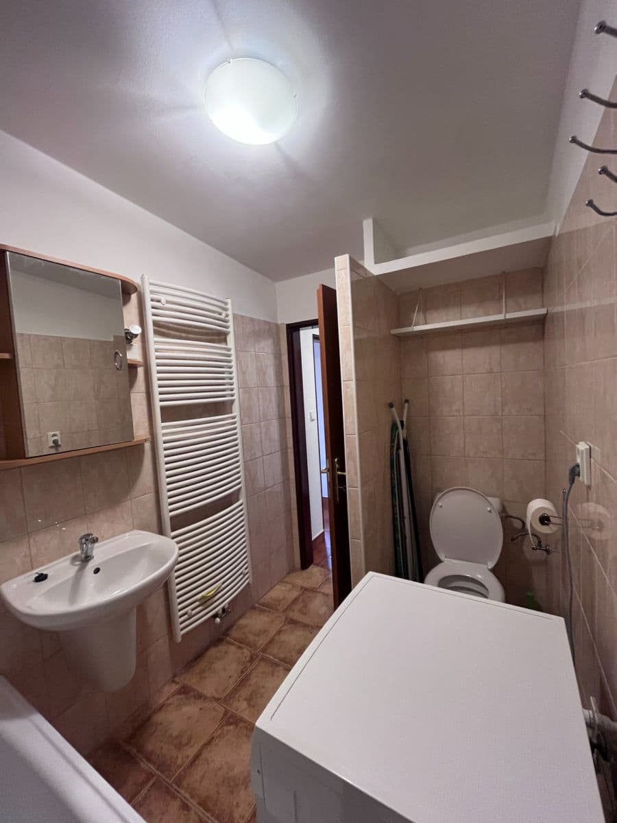 Studio flat to rent, 24 m², Kopaninská, Ořech, Středočeský Region Studio flat to rent, 24 m², Kopaninská, Ořech, Středočeský Region