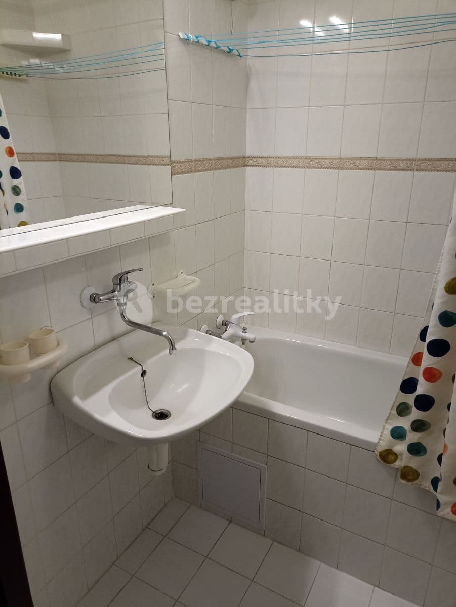1 bedroom with open-plan kitchen flat to rent, 43 m², Jetřichovická, Prague, Prague 1 bedroom with open-plan kitchen flat to rent, 43 m², Jetřichovická, Prague, Prague