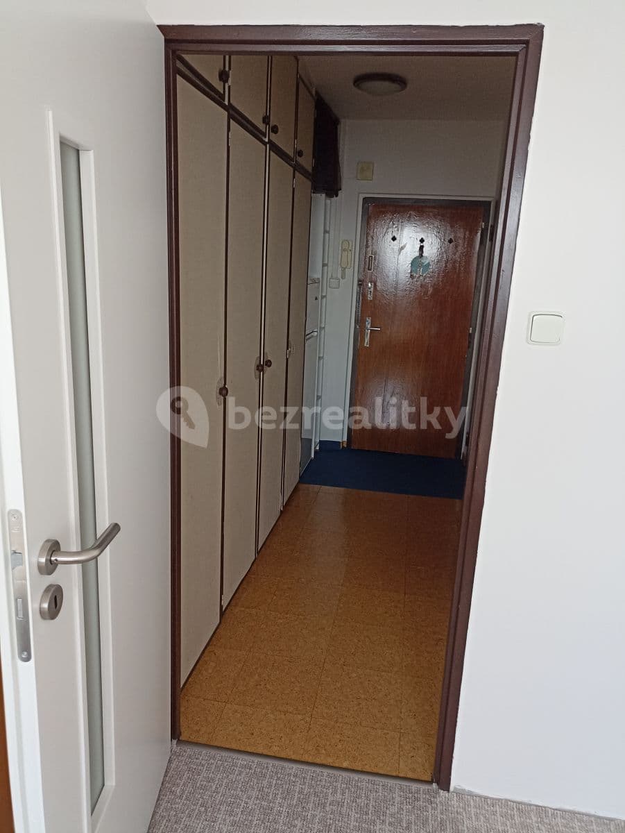 1 bedroom with open-plan kitchen flat to rent, 43 m², Jetřichovická, Prague, Prague 1 bedroom with open-plan kitchen flat to rent, 43 m², Jetřichovická, Prague, Prague