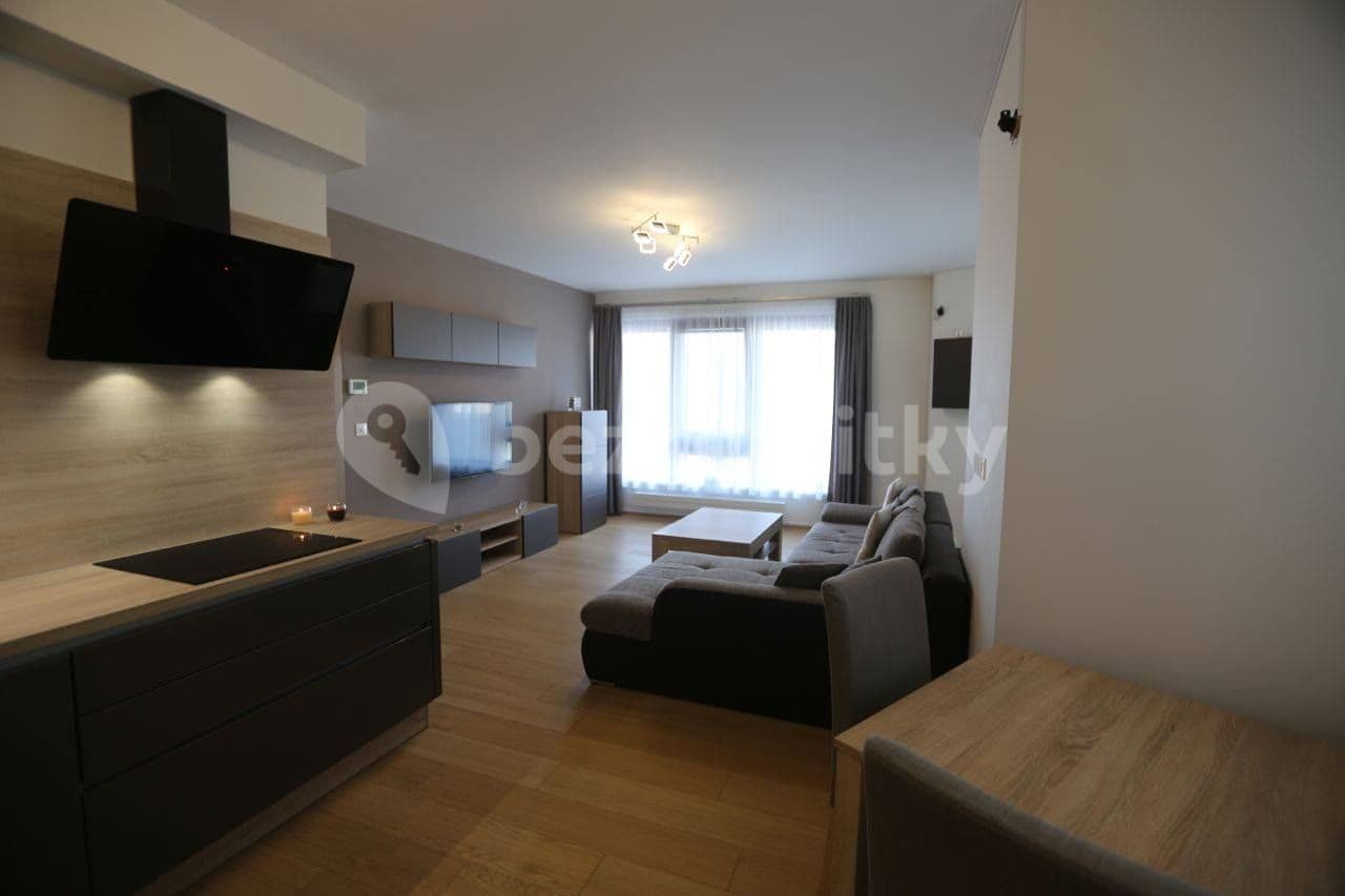 1 bedroom with open-plan kitchen flat to rent, 56 m², Naskové, Prague, Prague 1 bedroom with open-plan kitchen flat to rent, 56 m², Naskové, Prague, Prague