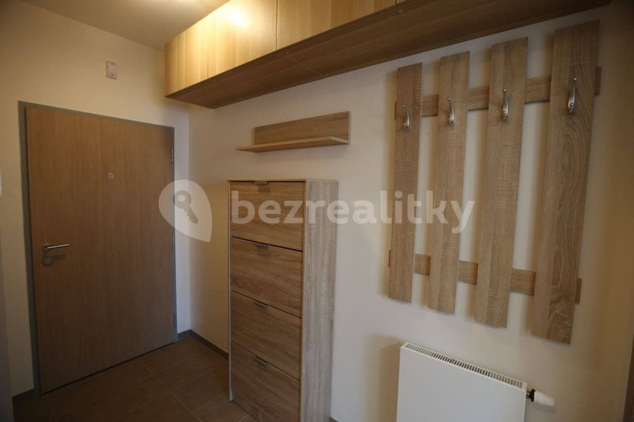 1 bedroom with open-plan kitchen flat to rent, 56 m², Naskové, Prague, Prague 1 bedroom with open-plan kitchen flat to rent, 56 m², Naskové, Prague, Prague