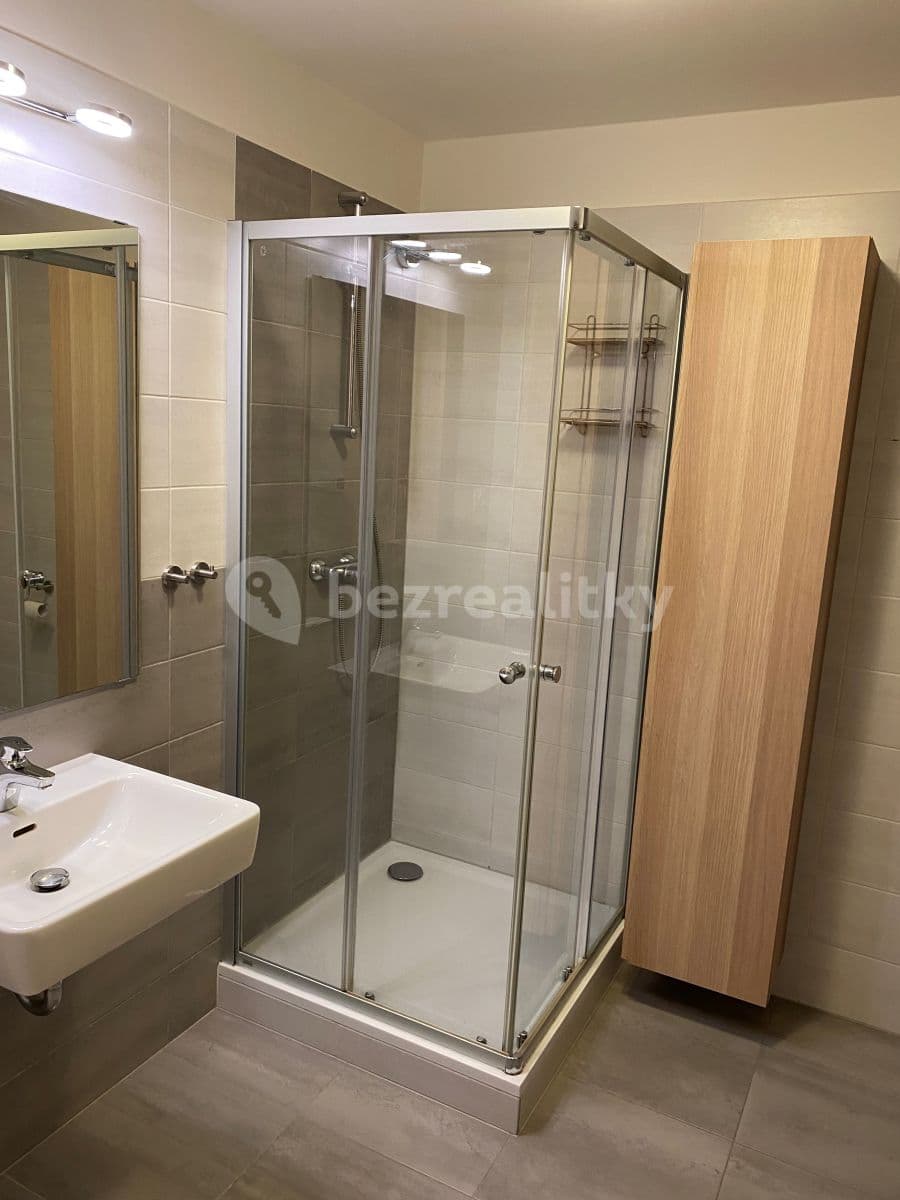 1 bedroom with open-plan kitchen flat to rent, 56 m², Naskové, Prague, Prague 1 bedroom with open-plan kitchen flat to rent, 56 m², Naskové, Prague, Prague