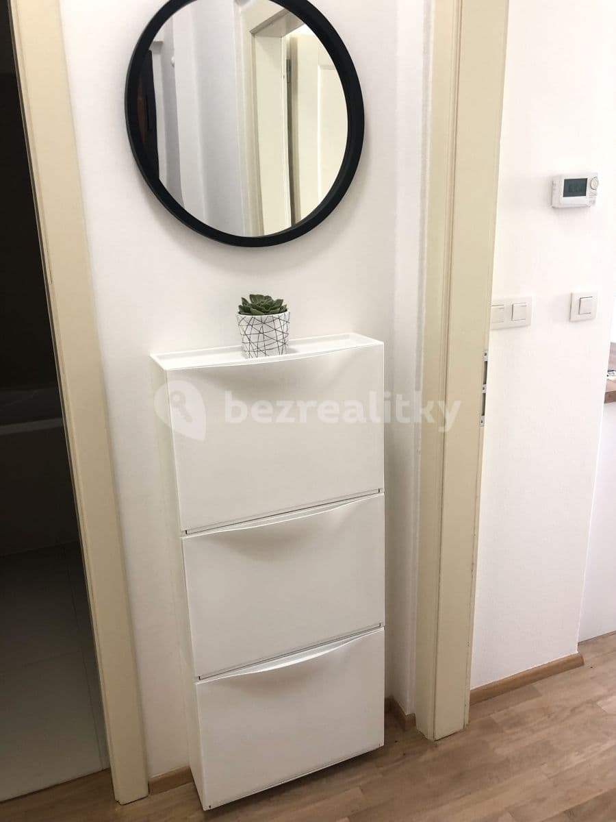 1 bedroom with open-plan kitchen flat to rent, 45 m², Bořivojova, Prague, Prague 1 bedroom with open-plan kitchen flat to rent, 45 m², Bořivojova, Prague, Prague