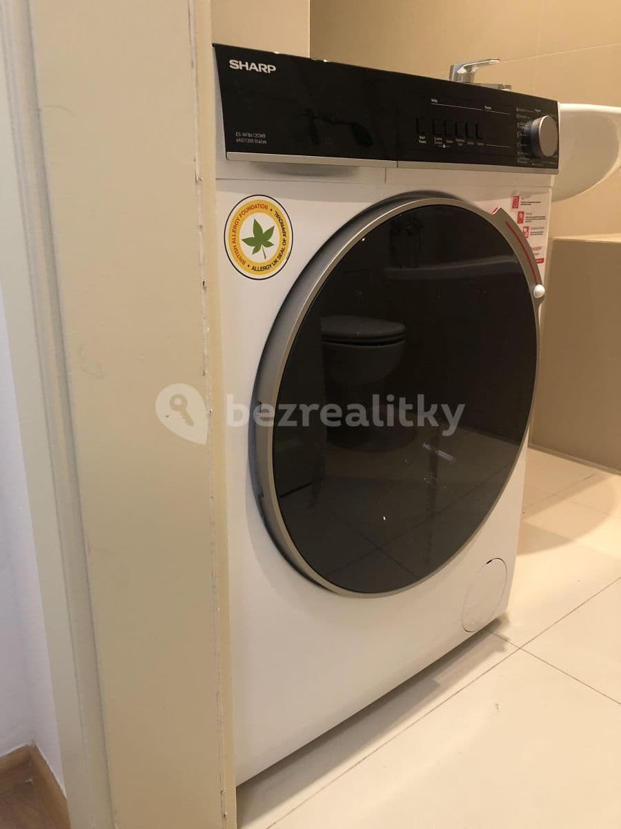 1 bedroom with open-plan kitchen flat to rent, 45 m², Bořivojova, Prague, Prague 1 bedroom with open-plan kitchen flat to rent, 45 m², Bořivojova, Prague, Prague