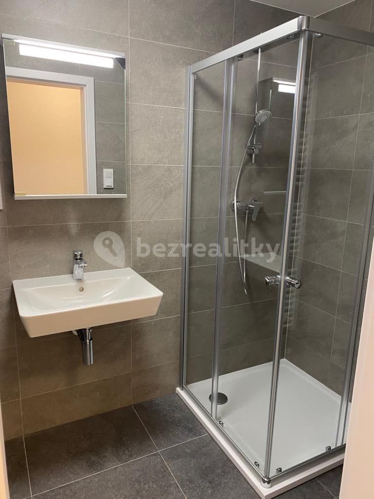 1 bedroom with open-plan kitchen flat to rent, 59 m², Táhlá, Brandýs nad Labem-Stará Boleslav, Středočeský Region 1 bedroom with open-plan kitchen flat to rent, 59 m², Táhlá, Brandýs nad Labem-Stará Boleslav, Středočeský Region