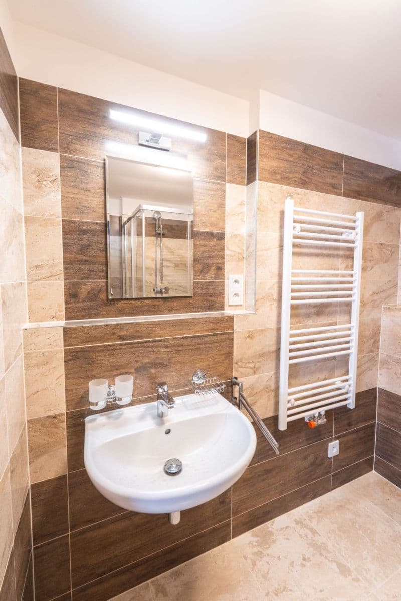 1 bedroom with open-plan kitchen flat to rent, 46 m², Miloše Havla, Prague, Prague 1 bedroom with open-plan kitchen flat to rent, 46 m², Miloše Havla, Prague, Prague