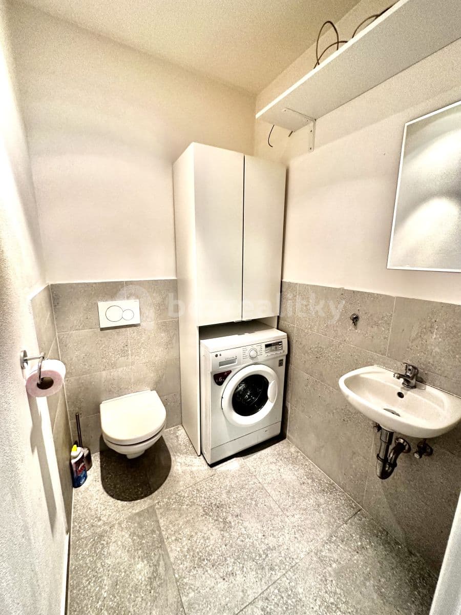 1 bedroom with open-plan kitchen flat to rent, 45 m², Ke Strašnické, Prague, Prague 1 bedroom with open-plan kitchen flat to rent, 45 m², Ke Strašnické, Prague, Prague