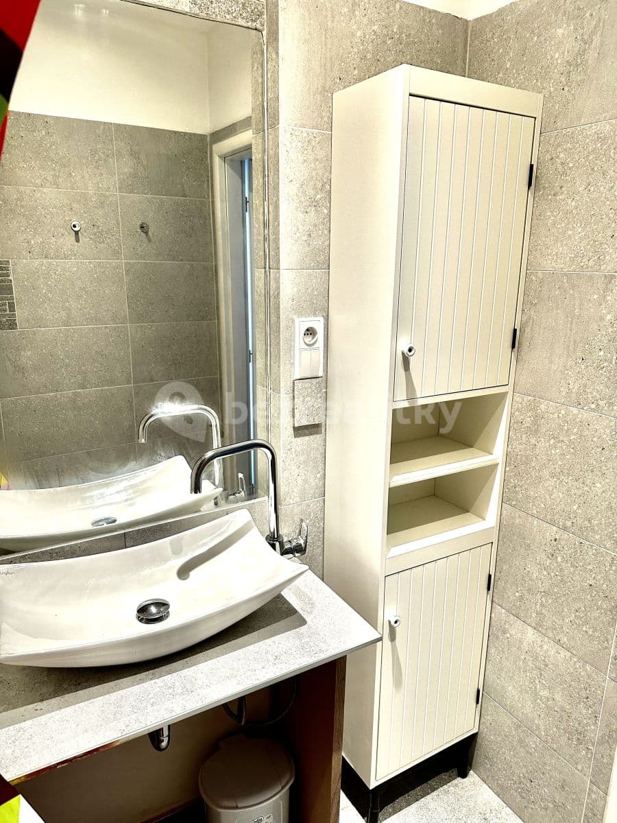 1 bedroom with open-plan kitchen flat to rent, 45 m², Ke Strašnické, Prague, Prague 1 bedroom with open-plan kitchen flat to rent, 45 m², Ke Strašnické, Prague, Prague